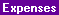 Topic: Expense Accounts