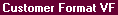 Report View: Customer Format, Vehicle Finance