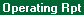 Report View: Operating Balances Runoff