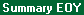 Report View: CCA Summary EOY