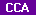 Screen: Capital Cost Allowance (CCA)