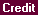 Screen: Credit Information