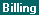 Screen: Customer Billing Tab