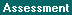 Screens: Assessment Customizations
