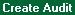 Screen: Create Audit Report