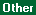 Screen: Guarantor Other Tab