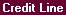 Screen: Lender Credit Line Tab