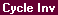 Topic: Cycle Invoices [U0302]