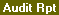Report View: PAP Audit