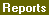 Screen: Reports Tab