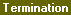 Screen: Termination Information