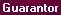Screen: Customer Summary - Guarantor Tab