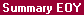 Report View: CCA Summary EOY