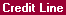 Screen: Lender Credit Line Tab