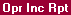 Report View: Operating Income Accrual Register