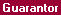 Screen: Customer Summary - Guarantor Tab