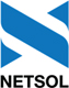 NETSOL website